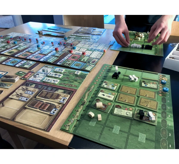 Поля Арля: Торговля и Чай (Fields of Arle: Tea & Trade)