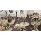 Королевство смерть: Монстр (Kingdom Death Monster)